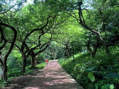 Fort-Canning-Walking-Tour-BR-Heidi-Sarna