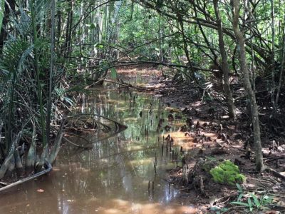 Pulau-Ubin-BR-1024x688