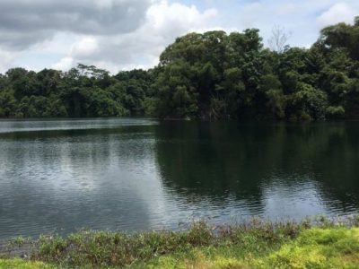 Pulau-Ubin-e1595273711530