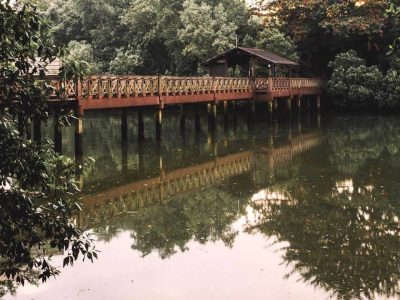 Sungei-Buloh-Bridge-Joseph-Edward-Ferrera